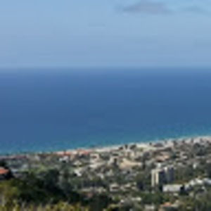 Meet your Posher, Desiree